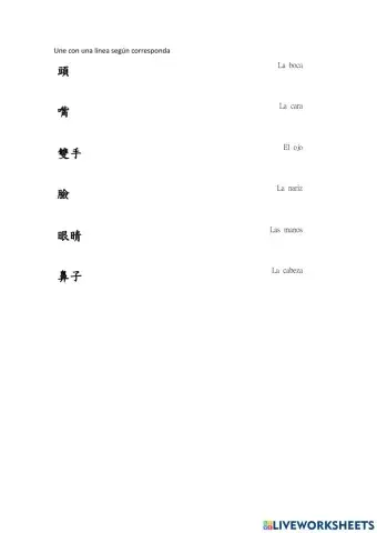 Partes del cuerpo español-chino