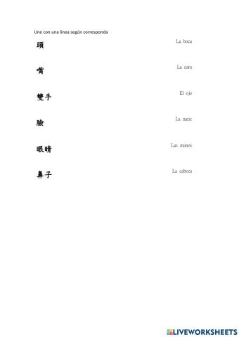 Partes del cuerpo español-chino