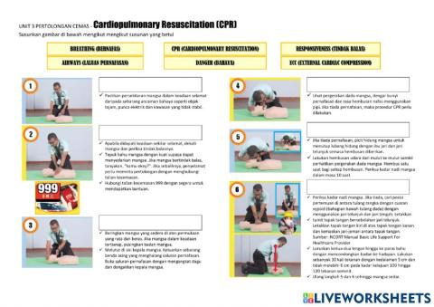 Prinsip & Prosedur CPR