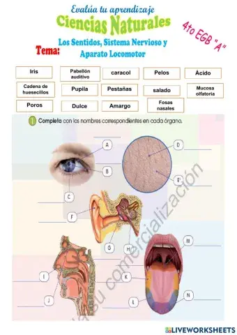 Función de relación