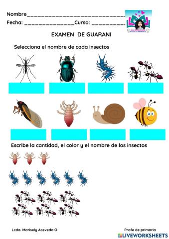Los insectos en guarani