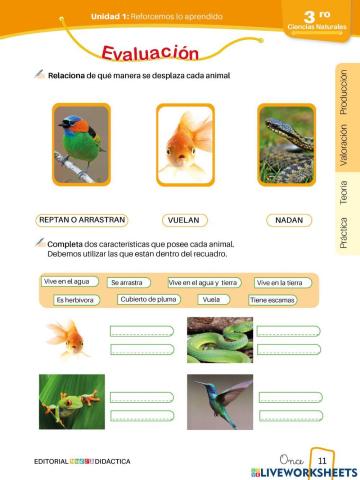 U1 Los animales y sus características