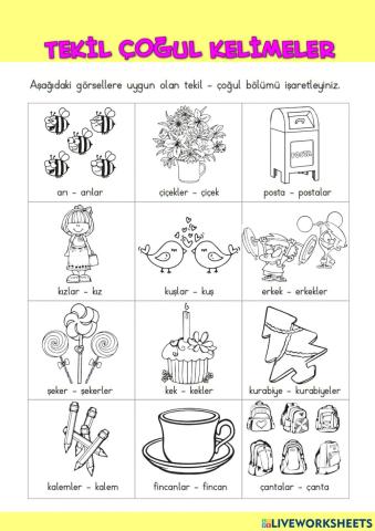 Tekil Çoğul İsimler