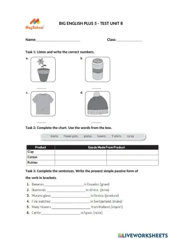 Big English Plus 5 - Test Unit 8