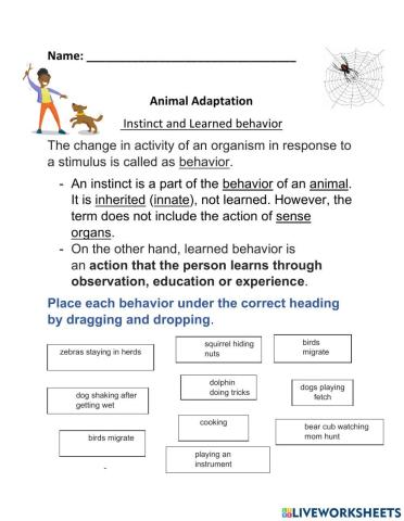 Animal Adaptation Instinct and Learned Behavior
