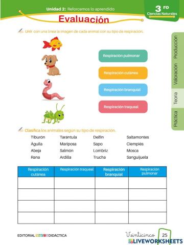 La clasificación de los animales