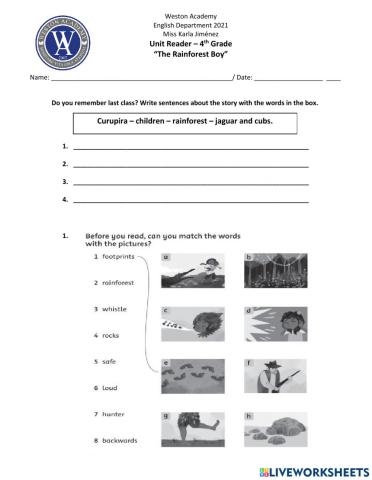 Rainforest Boy Class 2