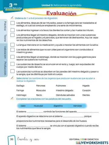 Alimentación Sana y Saludable