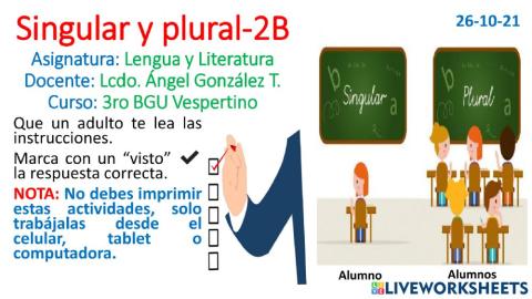 Singular y plural-2B
