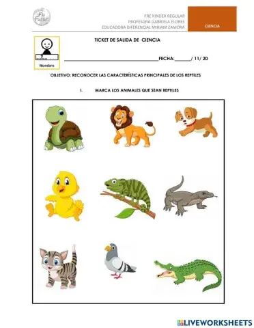 Ticket de salida ciencias