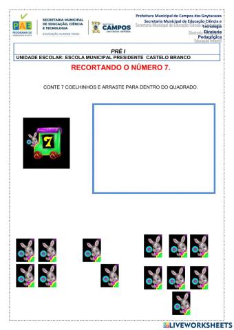 Números- quantidade