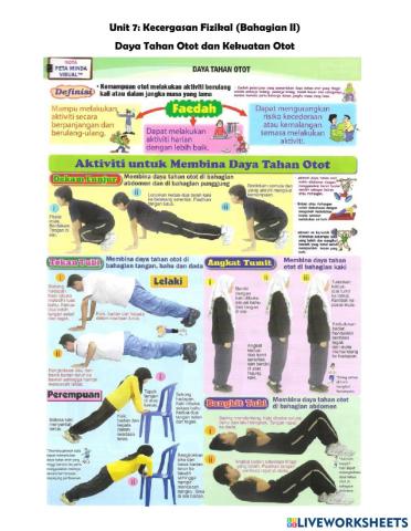 Daya Tahan dan Kekuatan Otot