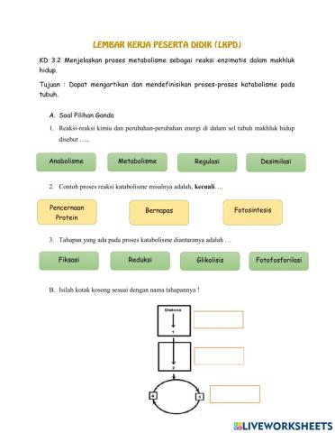 LKPD Metabolisme