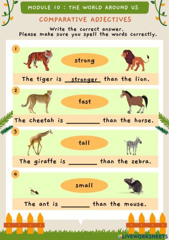 Comparative Adjectives