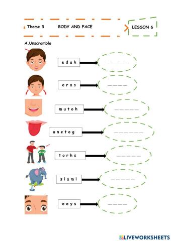 Theme 3 BODY AND FACE LESSON 6
