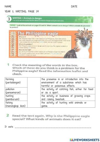 Year 5-THE PHILIPPINE EAGLE