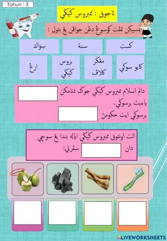 Thn 3 (Memberus gigi)