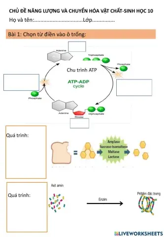 Năng lượng và chuyển hóa vật chất