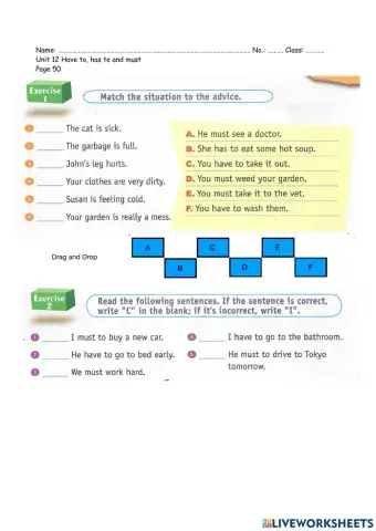 Have to, has to, and must