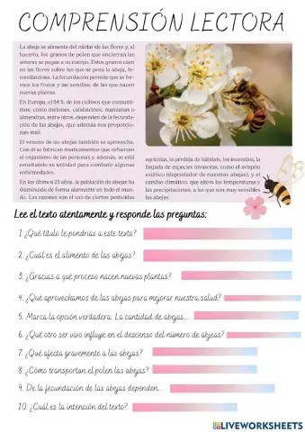 Comprensión lectora 1 ecoherencia