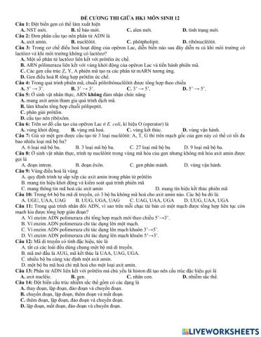 On tap kiem tra giua ki 1