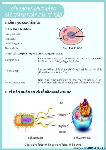 KHTN 6-Bài 19-Cấu tạo và chức năng các thành phần của tế bào