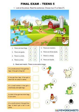 Final exam teens 5