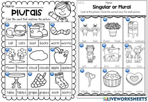 Singular and plural nouns