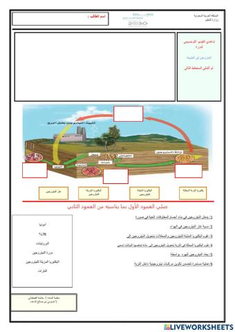 دورة النيتروجين في الطبيعة