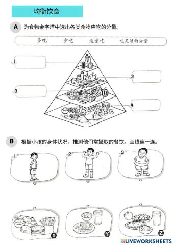 三 人类（营养素）