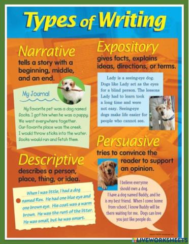 Types of Writing Anchor Chart