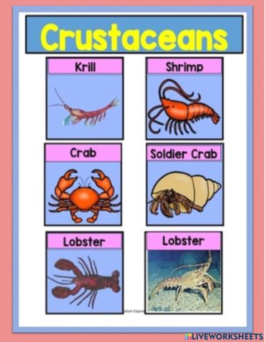 Invertebrates - Crustaceans
