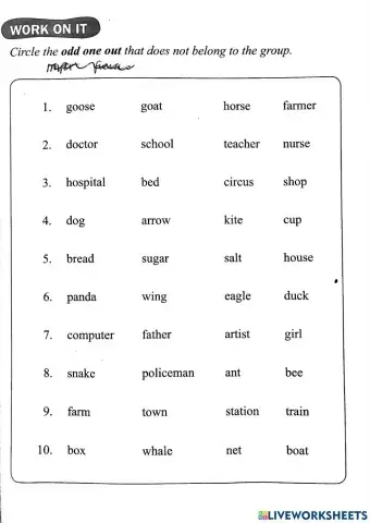 Nouns