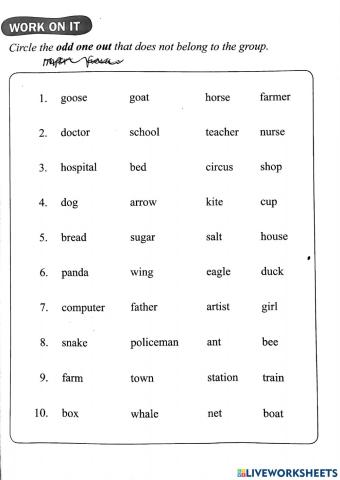 Nouns