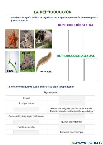 La reproducción