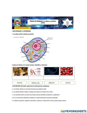 CELULA Y NUTRICION CELULAR