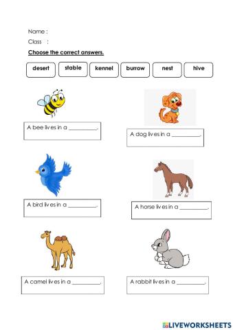 Animal and Their Homes