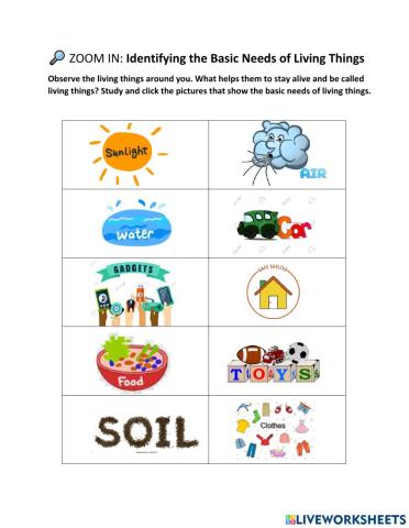 ? ZOOM IN:  Identifying the Basic Needs of Living Things