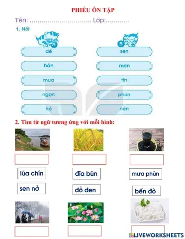 Tiếng Việt