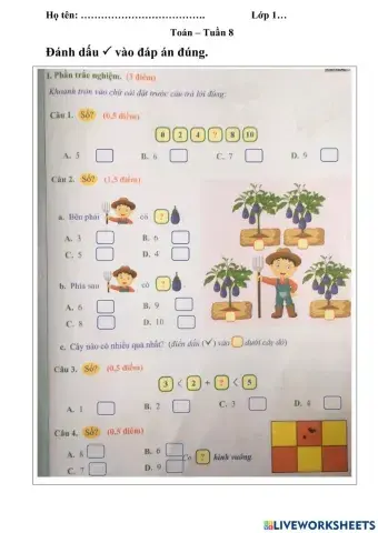 Cuối tuần 8 - Toán