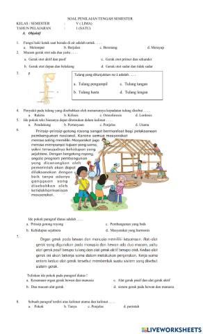 Soal ulangan tengah semester