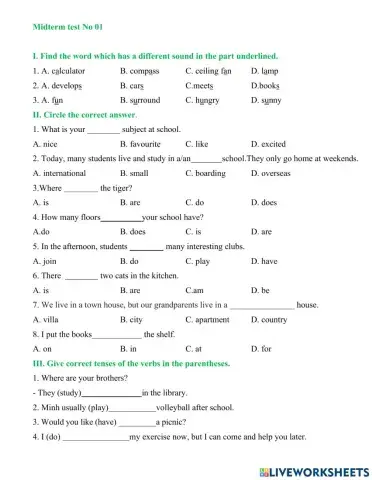 Grade 6 Mid term 1 Test No 1 Global