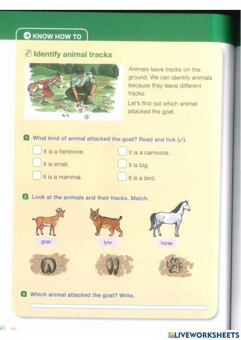 Natural Science 2-Animals