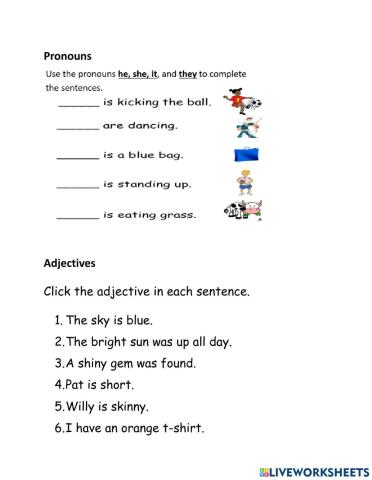 Pronouns and Adjectves