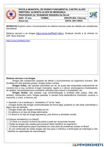 6º ano Sistema nervoso e as drogas