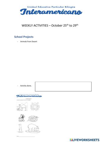 Weekly activities