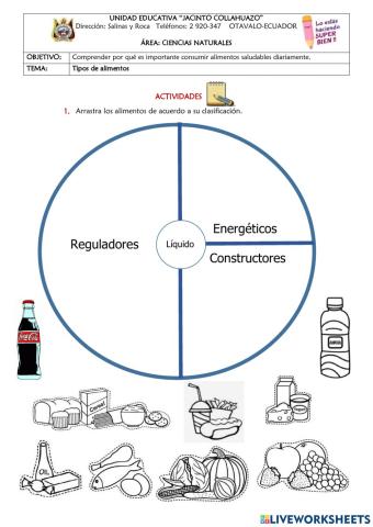 Tipos de alimentos
