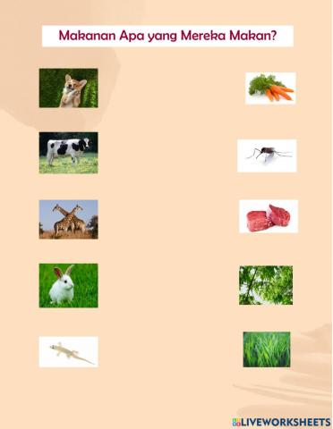 Hewan dan makanannya