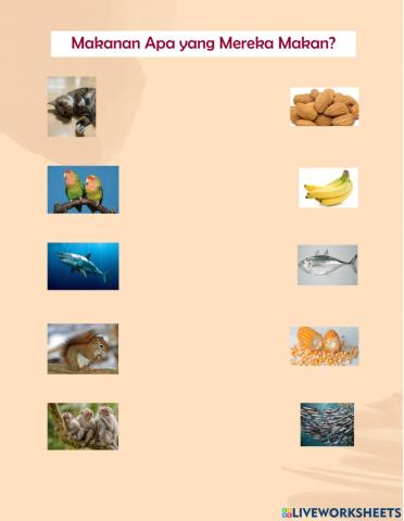 Hewan dan makananya