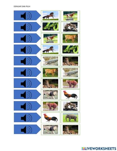 رفقا الحيوانات